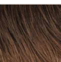 EZ Braid Professional (Pre-stretched Braid)